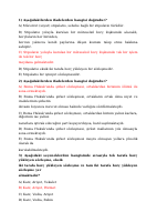 roma borçlar vize .pdf